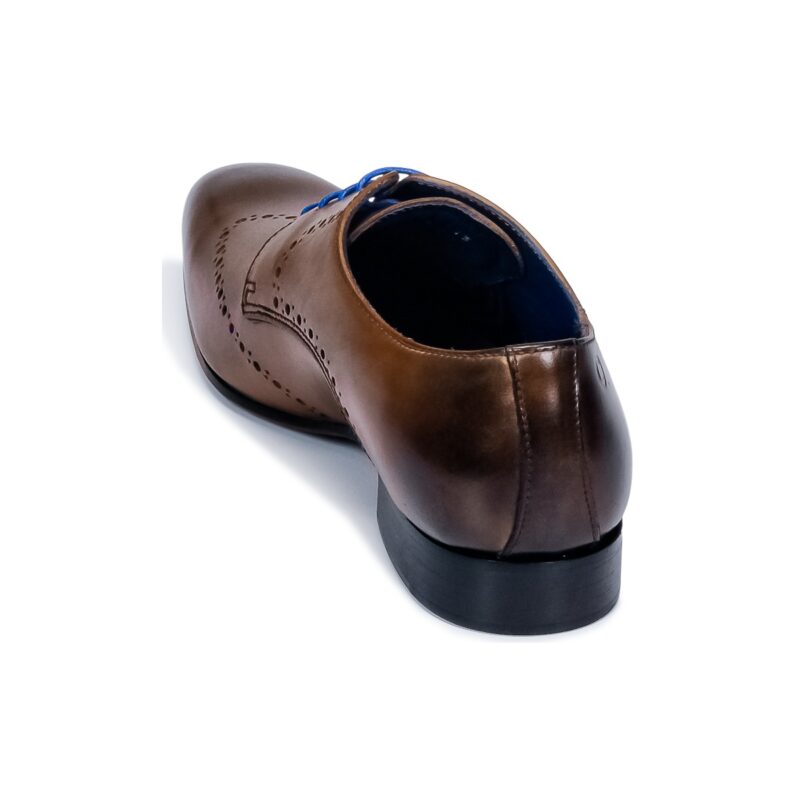 Carlington  FRUTO  Marrone -  Derby Uomo - 5