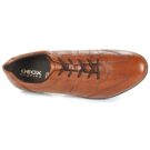 Geox UOMO SYMBOL Marrone Sneakers Uomo - 6