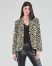 Giacca  Moony Mood  OUPLA  Marrone -  Giacche Donna - 2