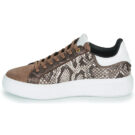 JB Martin HIBISCUS Marrone Sneakers basse Donna - 4