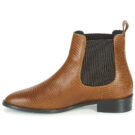 JB Martin  ATTENTIVE  Marrone -  Stivaletti Donna - 4