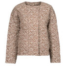 Jacket Betty London CIAOBELLO Marrone Giubbotti Donna - 1