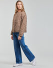 Jacket Betty London CIAOBELLO Marrone Giubbotti Donna - 3