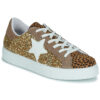 Yurban  ANISTAR  Oro -  Sneakers basse Donna