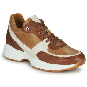 Dream in Green  AGAPANTHE  Marrone -  Sneakers basse Donna