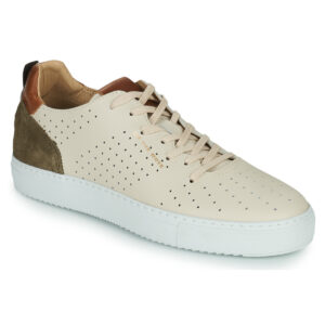 Carlington  FREDDI  Beige -  Sneakers Uomo