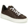 JB Martin  FLORA  Marrone -  Sneakers basse Donna