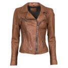 Leather jacketelle Oakwood CLIPS 6 Brown Jackets in pelle Donna - 1