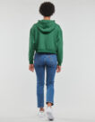 Felpe con cappuccio Ellesse RAMO CROP HOODY Verde Felpe con cappuccio Donna - 4