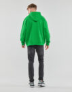 Felpe con cappuccio Ellesse GIORDANO HOODY Verde Felpe con cappuccio Uomo - 4