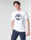T-shirt Timberland SS KENNEBEC RIVER BRAND TREE TEE Bianco T-shirt maniche corte Uomo - 2