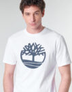 T-shirt Timberland SS KENNEBEC RIVER BRAND TREE TEE Bianco T-shirt maniche corte Uomo - 5