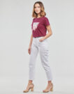 T-shirt Guess T-shirt &agrave; manches courtes SS CN ICON TEE Bordeaux pour femme - 3