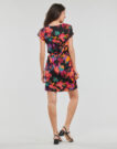 Abito corto  Betty London  MELBAN  Multicolore Abiti corti Donna - 4