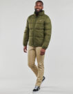 Piumino Dickies WALDENBURG Kaki Piumini Uomo - 3