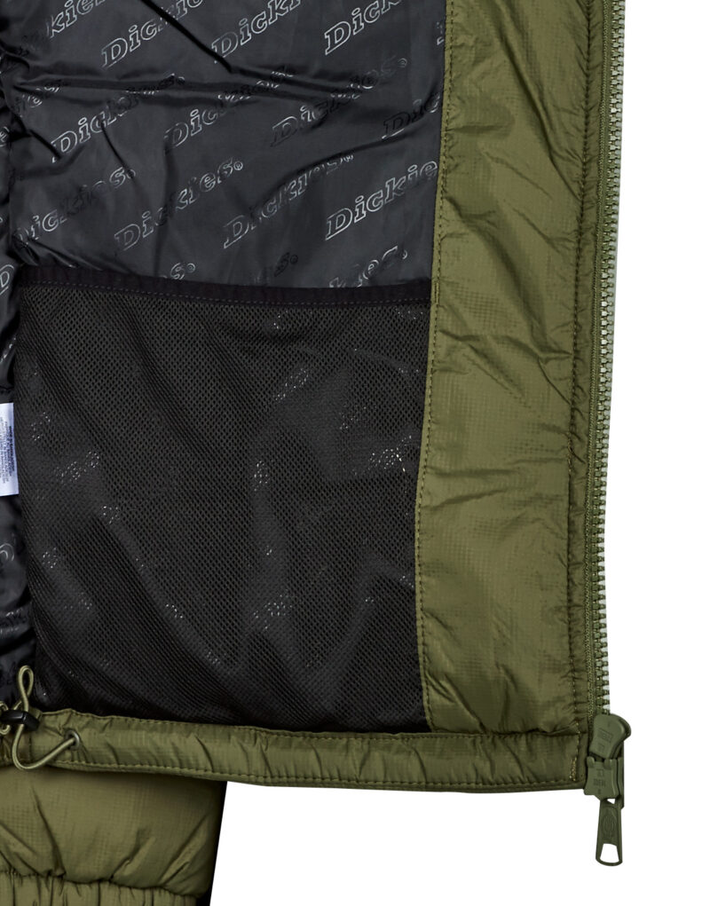 Piumino Dickies WALDENBURG Kaki Piumini Uomo - 6