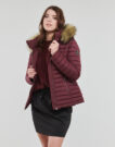Piumino Les Petites Bombes ALIMA Bordeaux Piumini Donna - 2