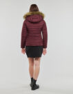 Piumino Les Petites Bombes ALIMA Bordeaux Piumini Donna - 4