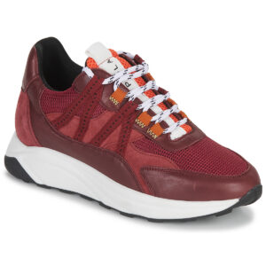 Piola  ICA  Bordeaux -  Sneakers basse Donna