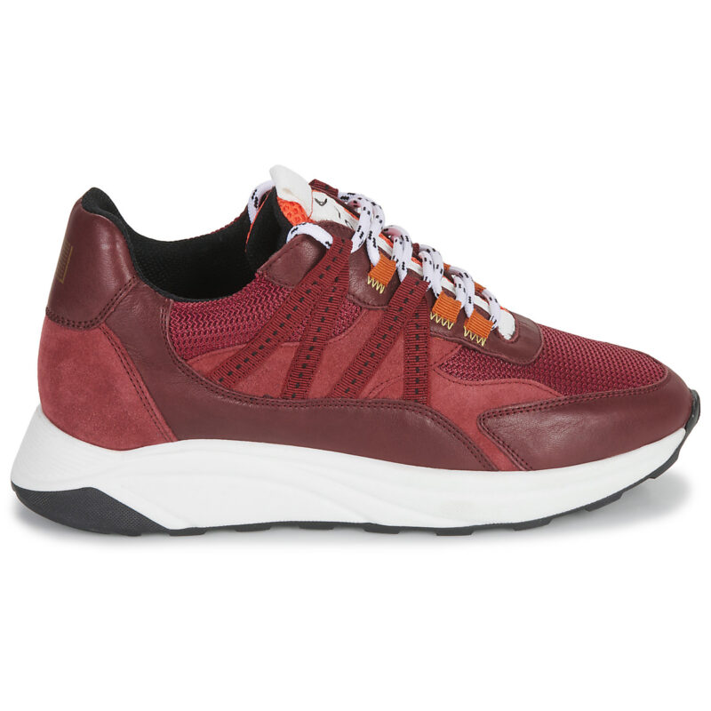 Piola ICA Bordeaux Sneakers basse Donna - 2