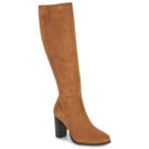 Fericelli AMSONIA Marrone - Stivali con tacco Donna - 1