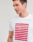 T-Shirt Esprit OCS LOGO STRIPE Bianco T-shirt maniche corte Uomo - 5