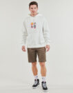 Sudaderas con capucha Volcom yARTH TRIPPER PO Bianco Felpe con cappuccio Uomo - 3