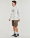 Sudaderas con capucha Volcom yARTH TRIPPER PO Bianco Felpe con cappuccio Uomo - 4
