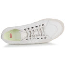 Globe  SURPLUS  Bianco -  Sneakers Uomo - 6