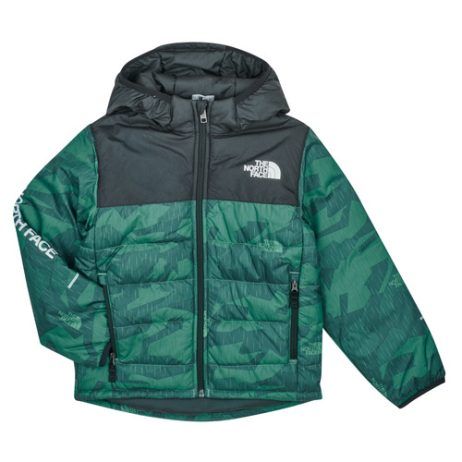 Giubbotto bambino ragazzo The North Face  Boys Never Stop Synthetic Jacket  Verde The North Face 196573239067