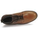 Casual Attitude  NEW003  Marrone -  StivalettiUomo - 6