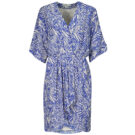 Abito Freeman T.Porter ROZA ZEBRURE Blu Abiti Lunghi Donna - 1