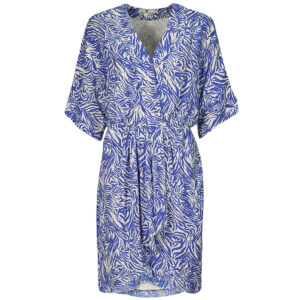 Abito   Freeman T.Porter  ROZA ZEBRURE  Blu -   Abiti Lunghi Donna