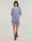 Abito Freeman T.Porter ROZA ZEBRURE Blu Abiti Lunghi Donna - 2