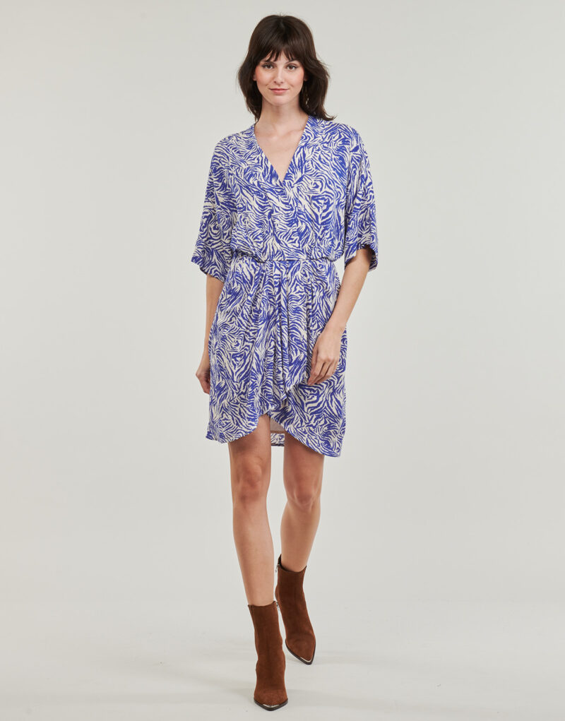 Abito Freeman T.Porter ROZA ZEBRURE Blu Abiti Lunghi Donna - 2