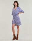 Abito Freeman T.Porter ROZA ZEBRURE Blu Abiti Lunghi Donna - 3