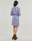 Abito Freeman T.Porter ROZA ZEBRURE Blu Abiti Lunghi Donna - 4