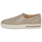 BIRKENSTOCK Oswego Suede / Taupe / Regular Beige Sneakers basse Donna - 4