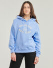 Felpe con cappuccio Tommy Hilfiger MDRN REG SCRIPT SWEATSHIRT Blu Felpe con cappuccio Donna - 2
