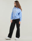Felpe con cappuccio Tommy Hilfiger MDRN REG SCRIPT SWEATSHIRT Blu Felpe con cappuccio Donna - 3