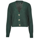 Gilet / Cardigan Only ONLCAROL Vert Gilet / Cardigan Femme - 1
