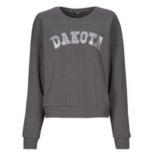 Felpe  Only  ONLJOLANA  Grigio -   Felpe Abbigliamento Donna
