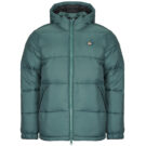 Doudoune Dickies WALDENBURG HOODED JACKET Vert Doudounes Homme - 1