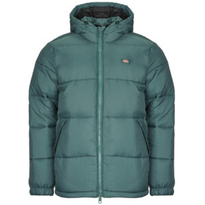 Piumino  Dickies  WALDENBURG HOODED JACKET  Verde -  Piumini Uomo