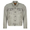 Giacca in jeans  Levis  THE TRUCKER JACKET  Grigio -  Giacche in jeans Uomo