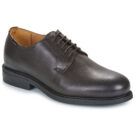 Carlington  CAVIL  Marrone -  Derby Uomo - 1