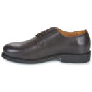 Carlington  CAVIL  Marrone -  Derby Uomo - 4