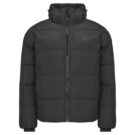 Doudoune Element Doudounes DULCEY PUFF noires pour homme - 1