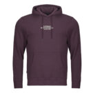 Felpe con cappuccio Element SKATEBOARD CO HOOD Viola Felpe con cappuccio Uomo - 1