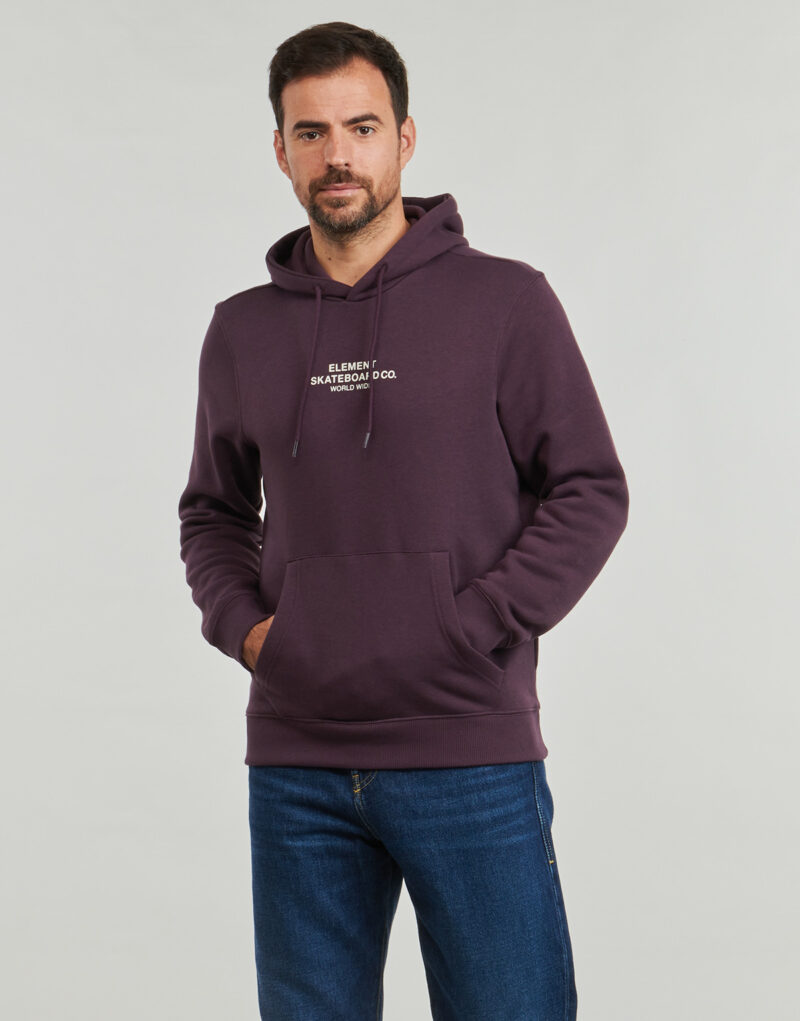 Felpe con cappuccio Element SKATEBOARD CO HOOD Viola Felpe con cappuccio Uomo - 2